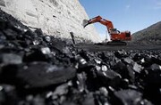آخرین وضعیت زغال کک شو در بازار جهانی