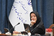 واکنش تند به رد کلیات لایحه بودجه در مجلس: روخوانی فارسی را بلدید؟
