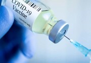 تاثیر واکسن "کووبرکت" بر ویروس جهش‌یافته کرونا
