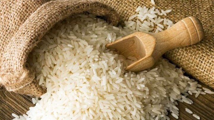 قیمت برنج در حاشیه رایزنی برای لغو ممنوعیت واردات
