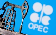 نزول قیمت نفت در آستانه دیدار وزیران اوپک پلاس