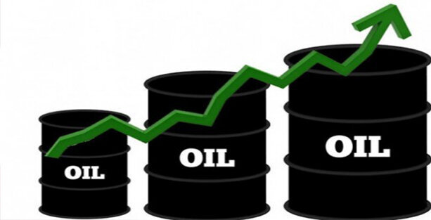 قیمت نفت خام صعودی شد 