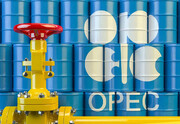 اوپک: تولید نفت ایران به ۳ میلیون و ۱۱۵ هزار بشکه در روز رسید