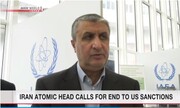 اسلامی: لغو تحریم های آمریکا شرط از سرگیری مذاکرات برجام است