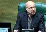 مخالفت مجلس با مدیریت دولت در ایران خودرو و سایپا با سهام ۶ درصدی