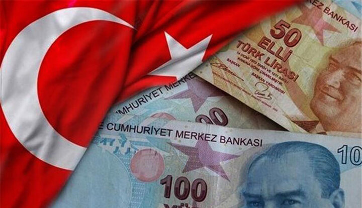 درخواست دولت ترکیه از مردم برای کنار گذاشتن دلار به نفع لیر
