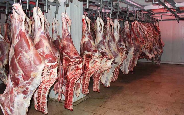نرخ جدید گوشت گوسفندی و گوساله در بازار / شقه گوسفندی چند؟
