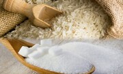 خرید توافقی برنج سنواتی هاشمی با قیمت ۷۰ هزار تومان از کشاورزان /دلیل افزایش 78 درصدی قیمت کنسرو ماهی تن