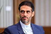 سعید محمد از شورای عالی مناطق آزاد برکنار شد