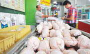 قیمت مرغ در بازار کاهش یافت +جدول