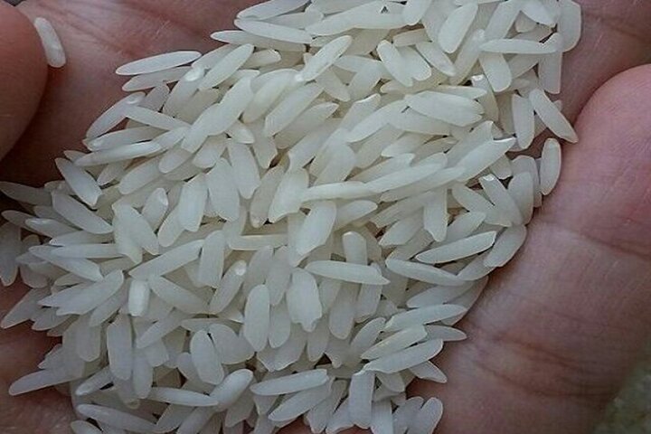 قیمت جدید برنج ایرانی در بازار