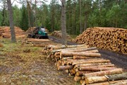 واردات چوب با پوست از روسیه برای کاهش قیمت ام دی اف آزاد شد