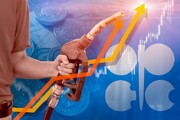 افزایش اختلاف نظر اوپک و آژانس بین‌المللی انرژی درباره بازار نفت