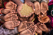 هشدار صندوق بین المللی پول نسبت به افزایش قیمت غذا در جهان