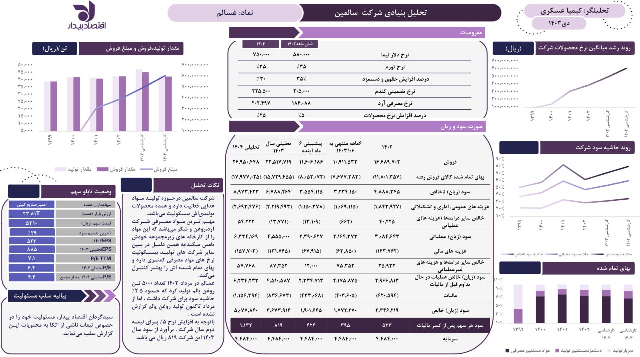 تحلیل بنیادی شرکت سالمین